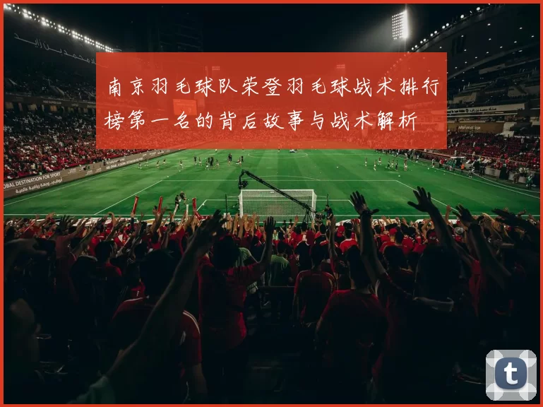 南京羽毛球队荣登羽毛球战术排行榜第一名的背后故事与战术解析