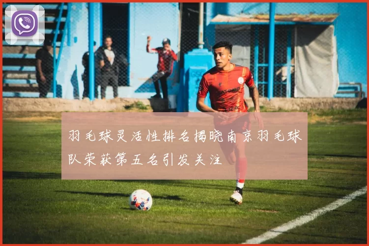 羽毛球灵活性排名揭晓南京羽毛球队荣获第五名引发关注