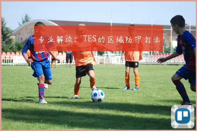 专业解读：TES的区域防守打法
