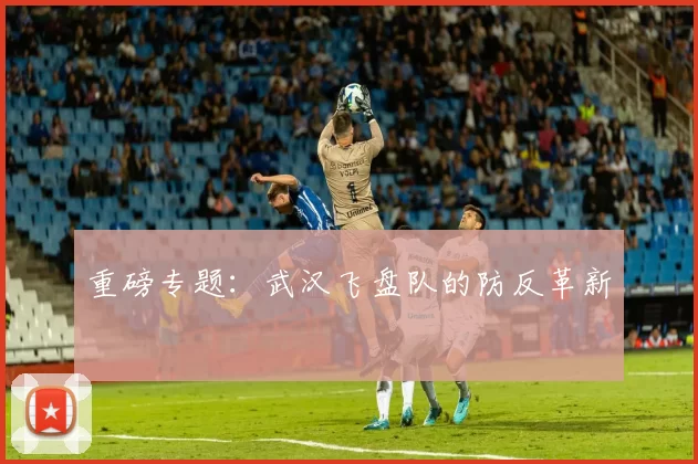 重磅专题：武汉飞盘队的防反革新