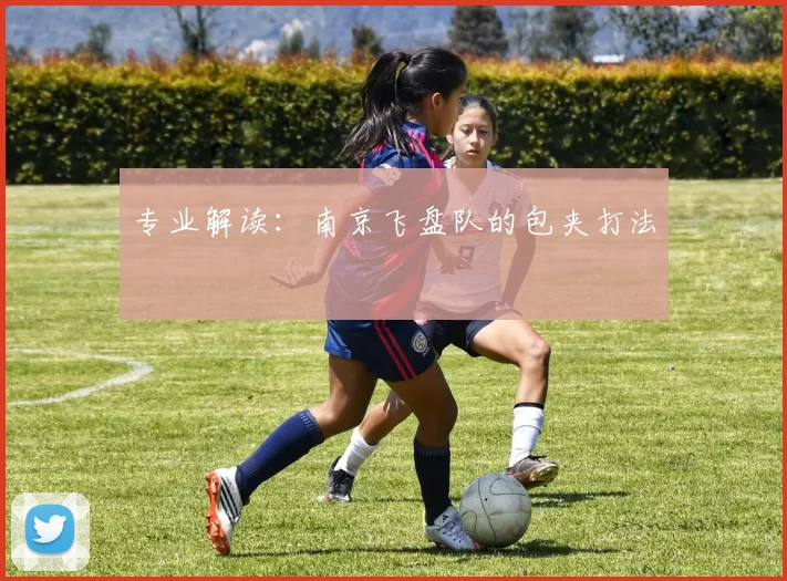 专业解读：南京飞盘队的包夹打法