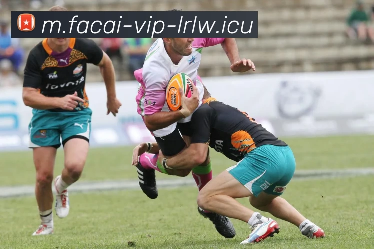 华体会体育注册品牌故事